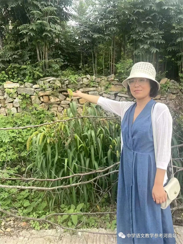 文学作品 | 杨玉梅：再访齐王寨