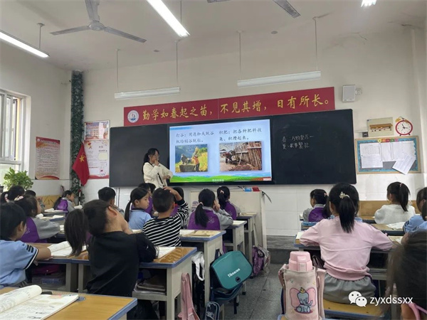 凝聚新力量 赋能新课堂—正阳县第十四小学开展新教师听评过关课活动