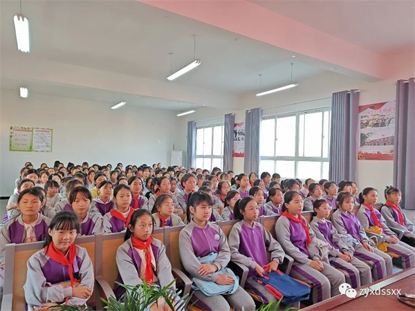 守护青春,健康成长--正阳县十四小女生青春期卫生及心理健康知识讲座