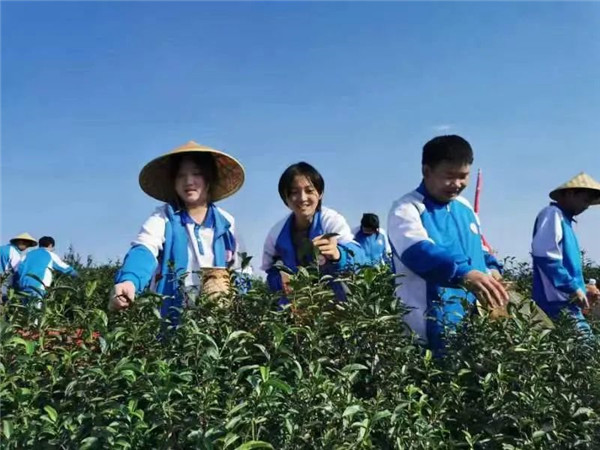 驻马店市第九中学研学活动征文一等奖 || 我的研学之旅