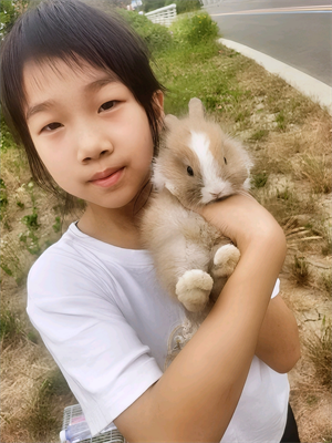 可爱的宠宠兔