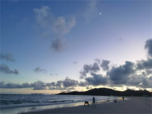 大海