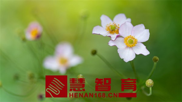 0444268a6a9f6055e0477d52887ad3ac_210QQ04I6-1-1200