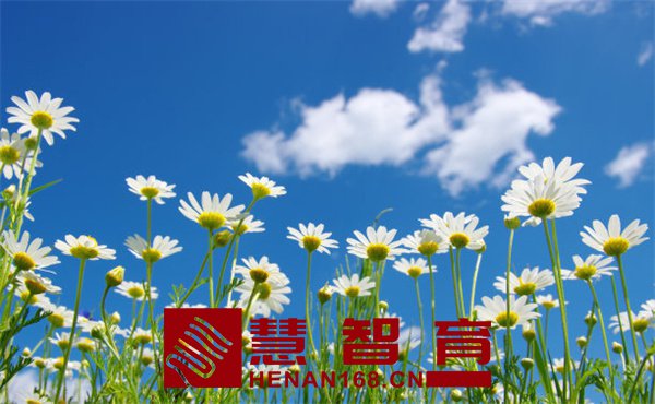 1033f9cba440f120aca62158d8daf19d_t01c55b860e03dd91a1