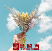 我的心爱之物