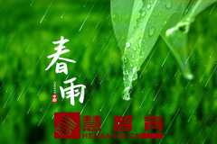 春雨