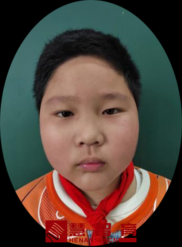 粉  笔正阳县第三小学 四（1）班  高俊哲