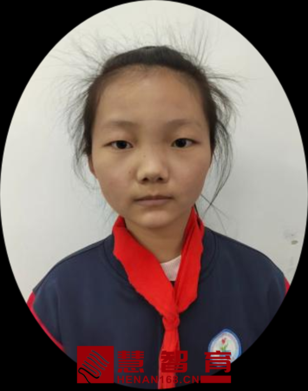 美丽的桃花 正阳县第三小学 四（1）班  叶晨汐