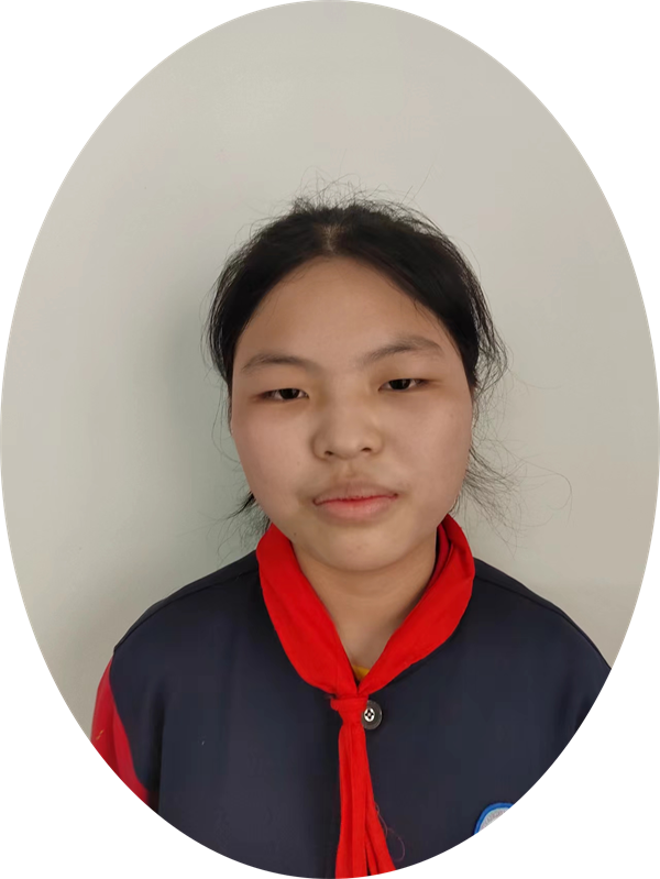 美好的回忆正阳县第三小学 六（3）班 王定