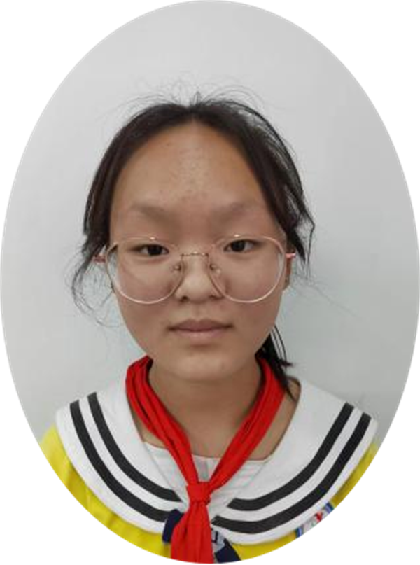 养蜂记正阳县第三小学 六（1）班 李佳惠
