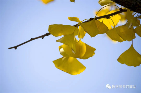 微信图片_20220819082116