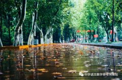 王秀兰专栏 | 在雨中