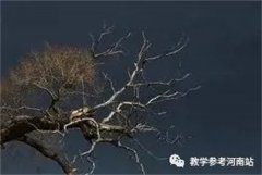 文学作品 | 樊战杰：那棵树