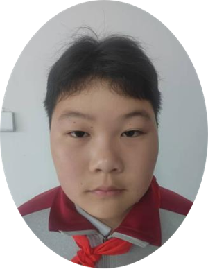 图片1