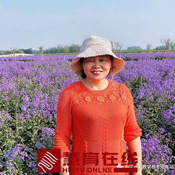 文学作品 | 杨玉环：那条田间小路