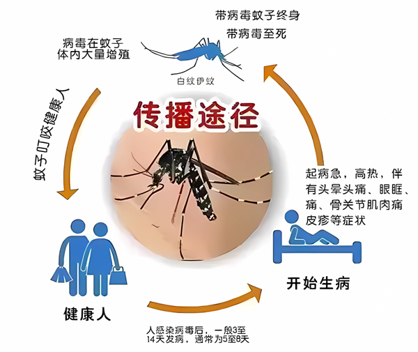 国家疾控局发布最新防控通知