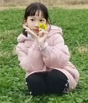 在天晴了的时候
