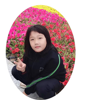 我的动物朋友
