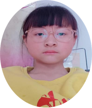 我的动物朋友