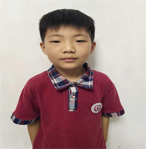 冬天为什么没有蚊子
