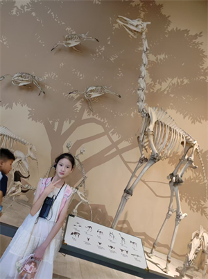 元宵赏花灯