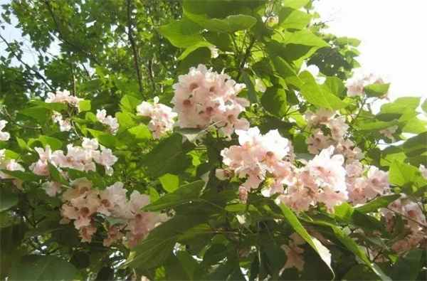 邀赴现代乡野