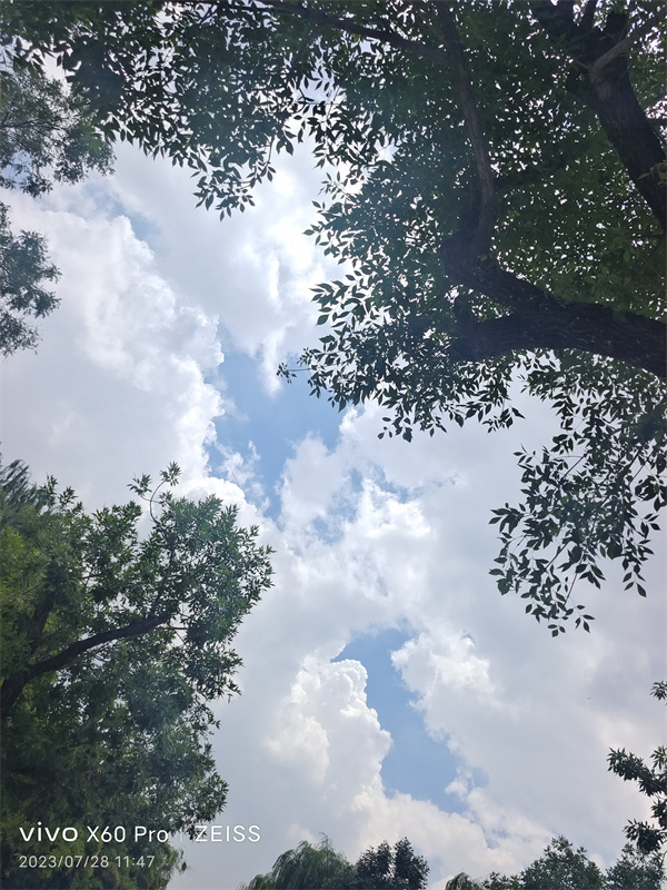 诗的力量