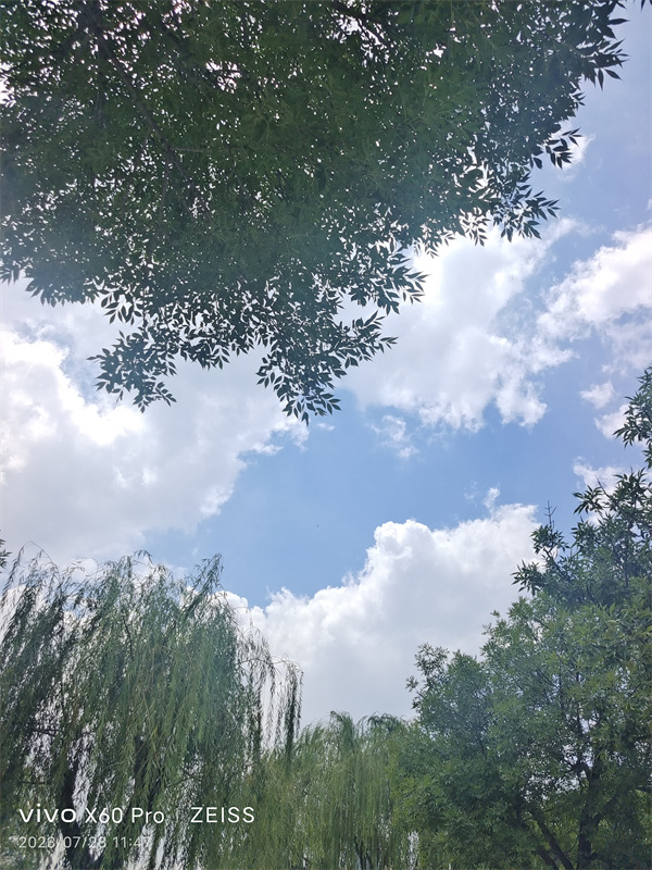 父爱无声，却震耳欲聋