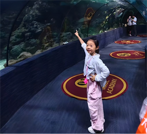 奇妙的海洋之旅