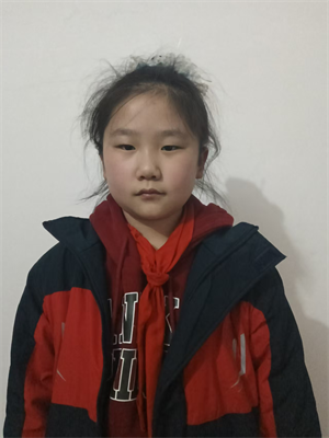 宝葫芦的秘密读后感