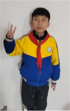 《宝葫芦的秘密》读后感