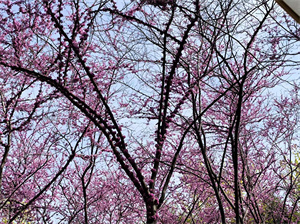 幸福，是裹在日常里的暖