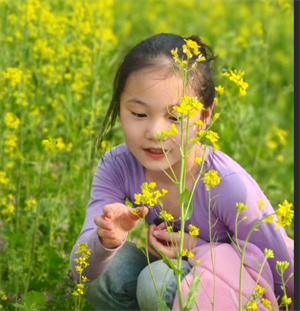 《美丽的校园》