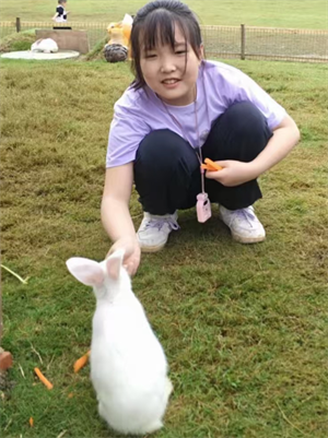 《西游记》：一场神奇的冒险之旅