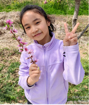 小乌鸦和小狐狸