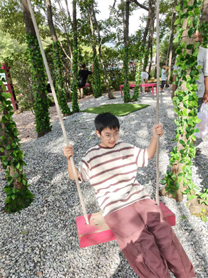 我是秋天的一缕风