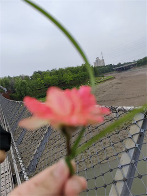 人为什么要拼搏