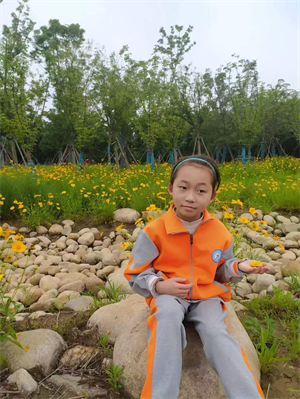 枕边的霍格沃茨