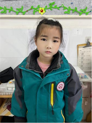 我最喜欢的小动物