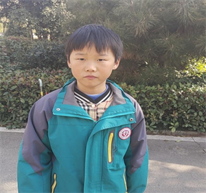 我最喜欢的小动物