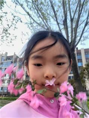 我的植物朋友一桃花