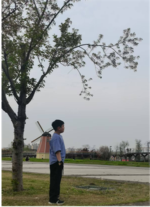 我的植物朋友多肉