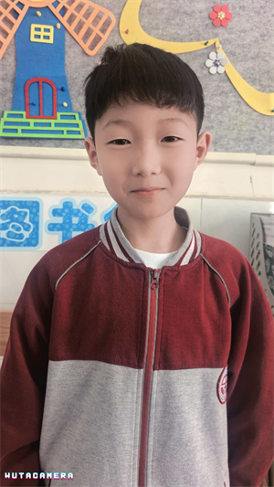 我的动物朋友
