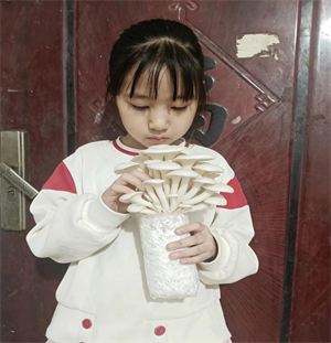 我的蘑菇成长日记