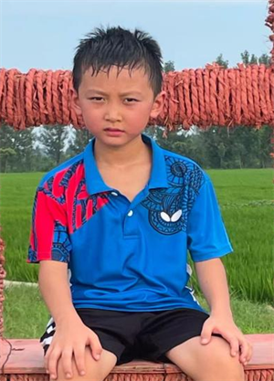 我心中的水果之王 ——荔枝