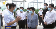 葛慧君在聊城市调研