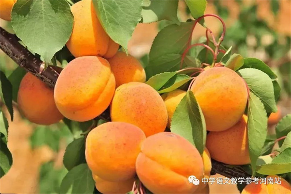 微信图片_20220618155042