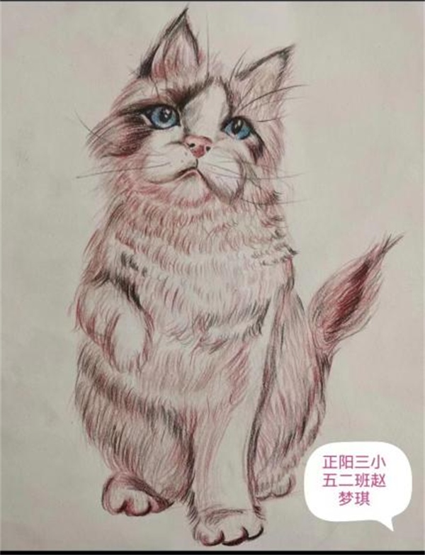 爷爷家的小院正阳县第三小学 五（2）班 赵梦琪