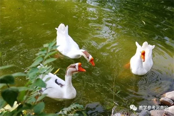 微信图片_20220817160257