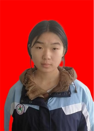 图片1